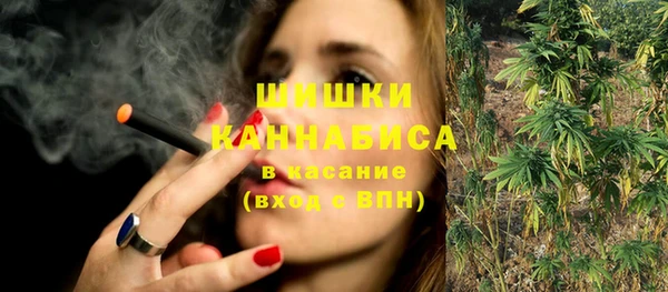 ПСИЛОЦИБИНОВЫЕ ГРИБЫ Медногорск