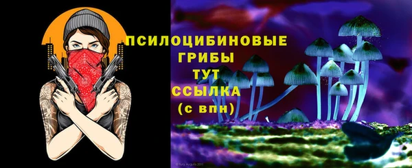 ПСИЛОЦИБИНОВЫЕ ГРИБЫ Медногорск