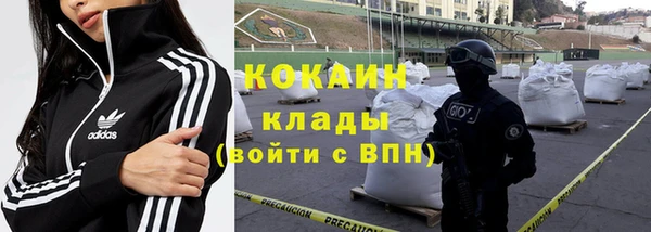 крисы Майский